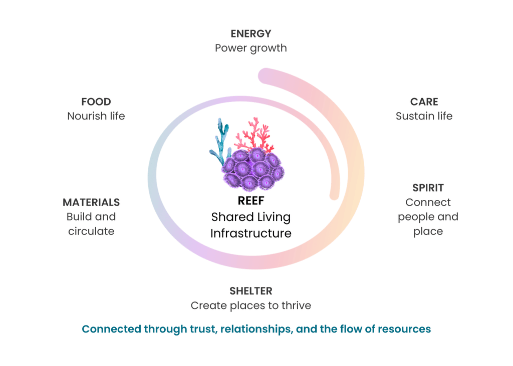 “Building the Reef” framework by Chloé Dubois, Ocean Legacy